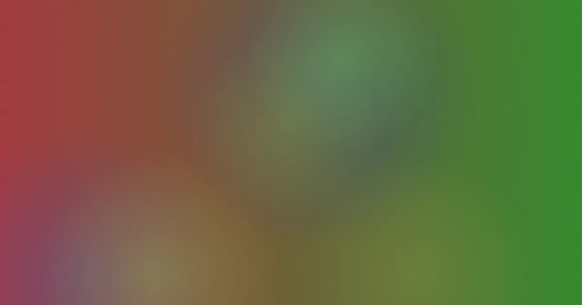 91国产精品在线观看避坑实操